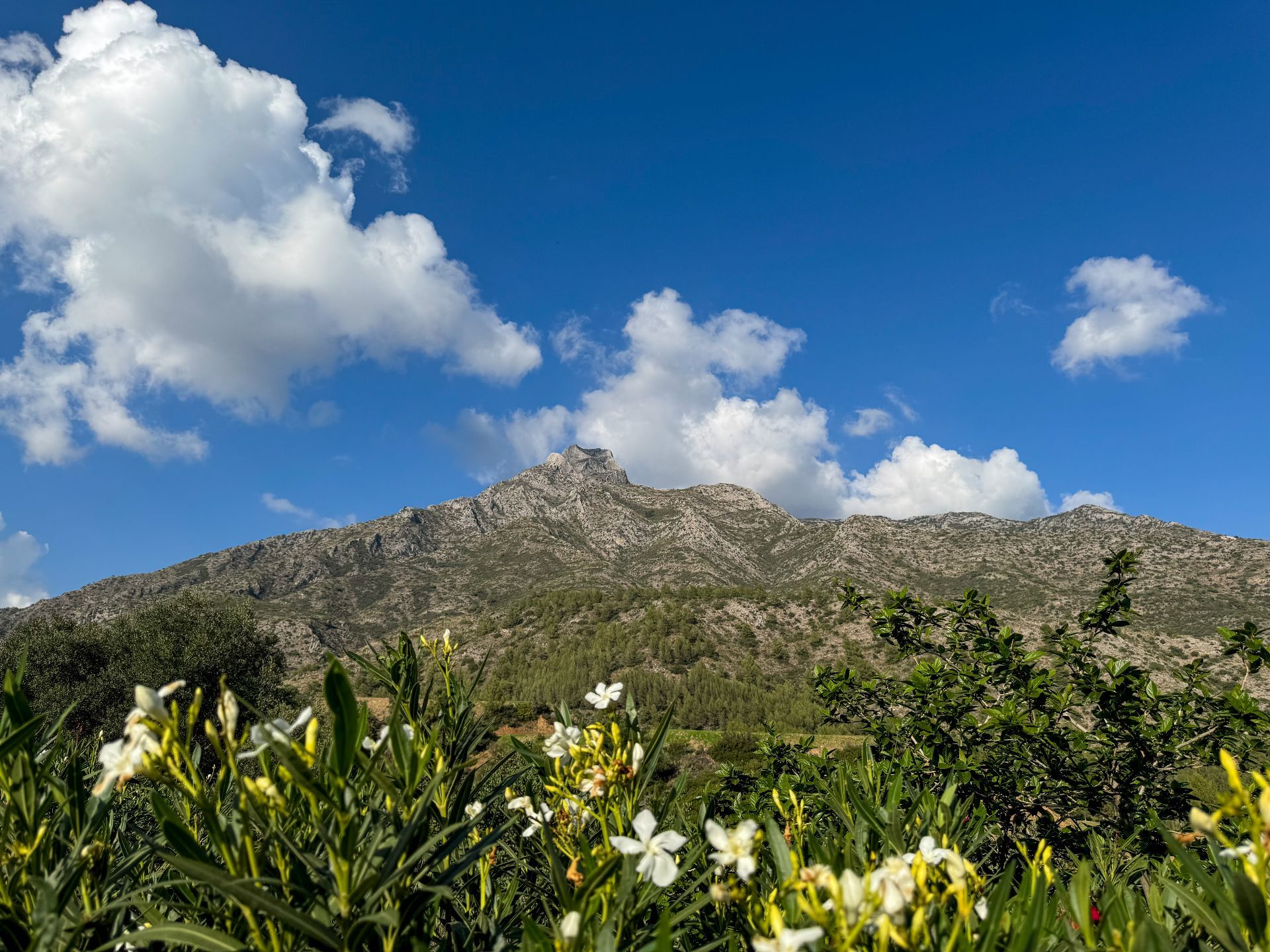 Marbella Golden Mile