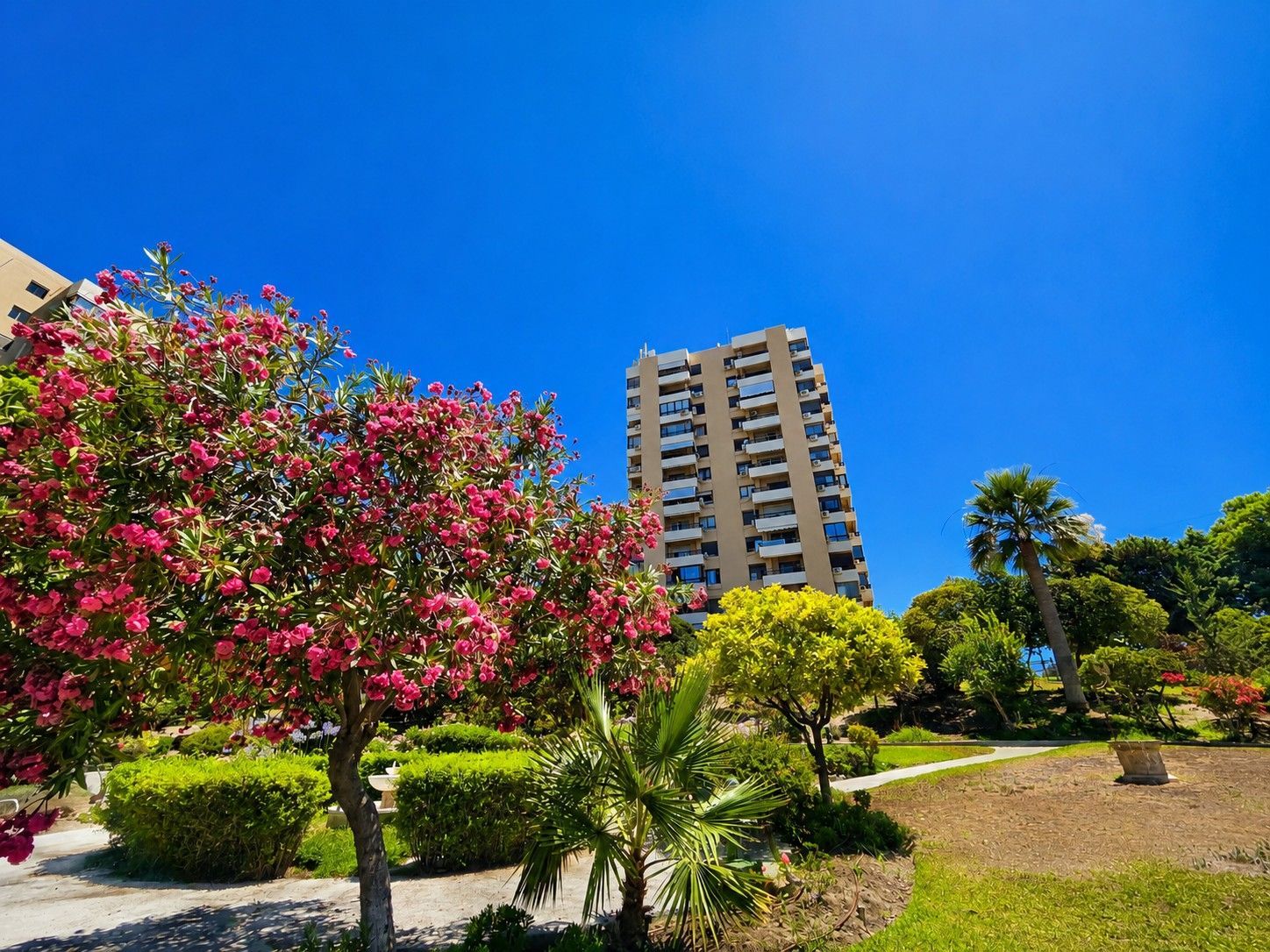 Nueva Andalucía, Marbella